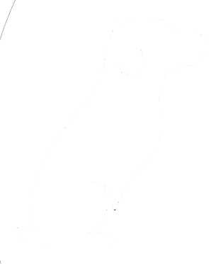 ASVELIS Logo